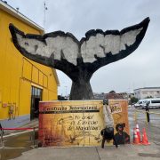 2025 CHILE Punta Arenas Port Sign